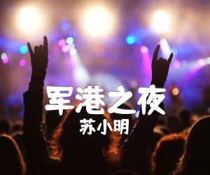 《军港之夜吉他谱》_苏小明_C调 图片谱1张