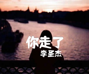 《你走了吉他谱》_李圣杰 文字谱