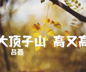 《大顶子山喲高又高吉他谱》_吕聂_吉他图片谱1张