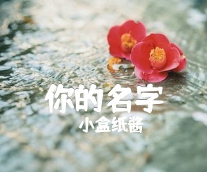 《你的名字吉他谱》_小盒纸酱&斗斗 图片谱4张