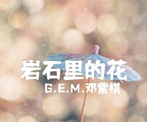 《岩石里的花吉他谱》_G.E.M.邓紫棋_邓紫棋_G调六线谱完整版_G调 图片谱3张