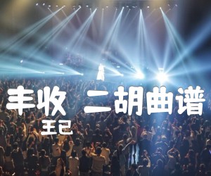 《丰收  二胡曲谱吉他谱》_王已 图片谱1张