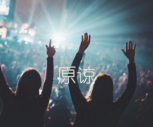 《原谅吉他谱》_群星_C调 图片谱1张