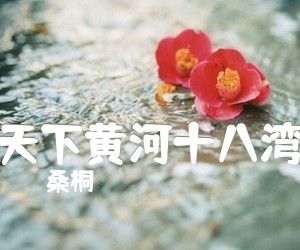 《天下黄河十八湾吉他谱》_桑桐_D调_吉他图片谱1张