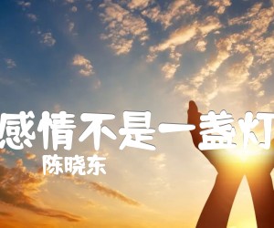 《感情不是一盏灯吉他谱》_陈晓东 文字谱