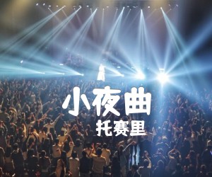 《小夜曲吉他谱》_托赛里_C调 图片谱2张