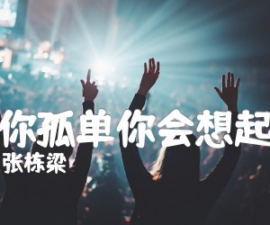 《当你孤单你会想起谁吉他谱》_张栋梁_吉他图片谱2张