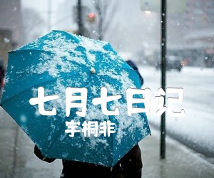 《七月七日记吉他谱》_宇桐非_C调 图片谱2张