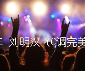 《南方列车 刘明汉（C调完美弹唱谱）吉他谱》_群星_C调 图片谱1张