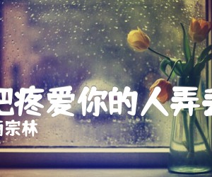 《别把疼爱你的人弄丢了吉他谱》_雨宗林_C调_吉他图片谱4张