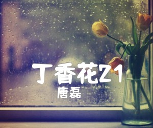 《丁香花21吉他谱》_唐磊_吉他图片谱1张