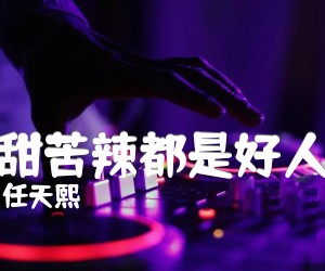 《酸甜苦辣都是好人生吉他谱》_任天熙_G调 图片谱1张