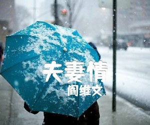 《夫妻情吉他谱》_阎维文_E调_吉他图片谱1张