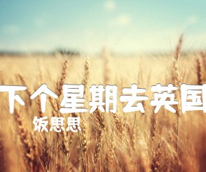 《下个星期去英国吉他谱》_饭思思_独奏 图片谱2张