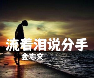 《流着泪说分手吉他谱》_金志文_C调 图片谱1张