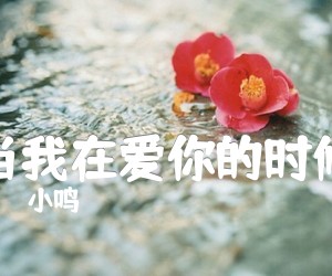 《当我在爱你的时候吉他谱》_小鸣 图片谱1张