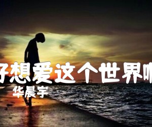 《好想爱这个世界啊吉他谱》_华晨宇_C调_吉他图片谱2张