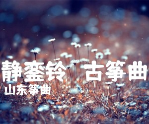 《夜静銮铃   古筝曲谱吉他谱》_山东筝曲_D调 图片谱1张