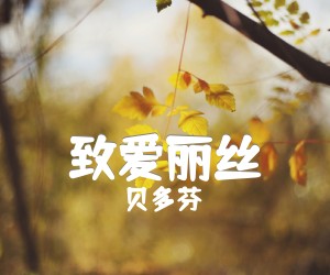 《致爱丽丝吉他谱》_贝多芬 图片谱2张