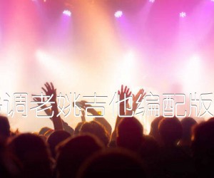 《追光者 岑宁儿 G调老姚吉他编配版 夏至未至主题曲吉他谱》_群星_G调 图片谱1张