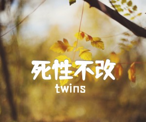 《死性不改吉他谱》_twins_D调 图片谱2张