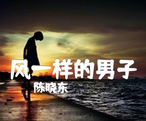 《风一样的男子吉他谱》_陈晓东_C调 图片谱2张