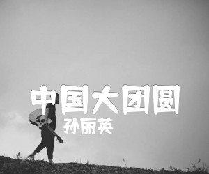 《中国大团圆吉他谱》_孙丽英_G调 图片谱1张