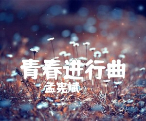 《青春进行曲吉他谱》_孟宪斌_D调 图片谱1张