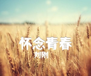 《怀念青春吉他谱》_旭日阳刚_G调 图片谱3张