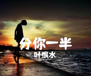 《分你一半吉他谱》_叶恨水_G调 图片谱2张