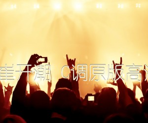 《声声慢 崔开潮 C调原版高清弹唱谱吉他谱》_群星_C调 图片谱1张