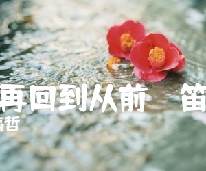 《如果再回到从前  （笛箫谱）吉他谱》_张镐哲_G调 图片谱1张