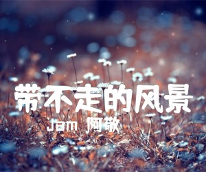 《带不走的风景吉他谱》_Jam（阿敬）_未知调 图片谱2张