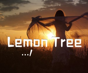 《Lemon Tree吉他谱》_.../ 图片谱1张