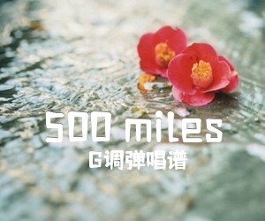 《500 miles》