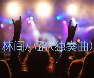 《林间小路(独奏曲)吉他谱》_佚名_吉他图片谱1张