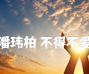 《潘玮柏 不得不爱吉他谱》_潘玮柏_G调 图片谱5张