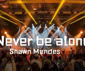 《Never be alone吉他谱》_Shawn Mendes_F调 图片谱2张