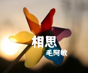 《毛阿敏 相思吉他谱》_毛阿敏_C调 图片谱2张