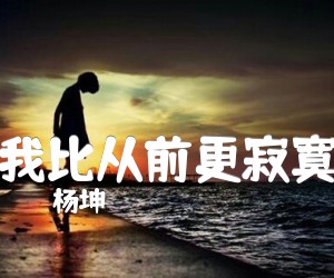 《我比从前更寂寞吉他谱》_杨坤_吉他图片谱1张