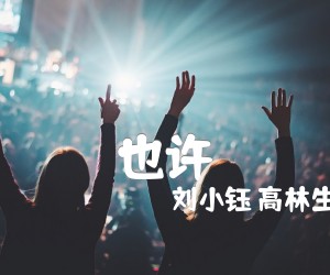 《也许吉他谱》_刘小钰 高林生 图片谱1张