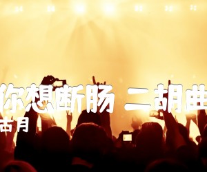 《想你想断肠 二胡曲谱吉他谱》_古月_G调 图片谱1张