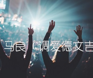 《往后余生 马良 C调爱德文吉他教室版吉他谱》_群星_C调_吉他图片谱1张