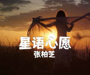 《星语心愿吉他谱》_张柏芝_指弹独奏_吉他图片谱2张