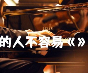 《有个爱你的人不容易《》插曲沈腾吉他谱》_夏洛特烦恼 图片谱1张