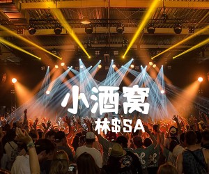 《小酒窝吉他谱》_林$SA 图片谱1张