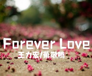 《Forever Love吉他谱》_王力宏/萧敬腾_G调 图片谱1张