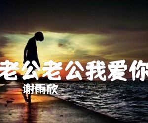 《老公老公我爱你吉他谱》_谢雨欣_D调 图片谱2张