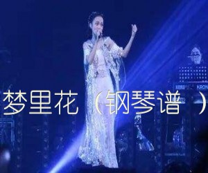 《梦里花（钢琴谱 ）吉他谱》_张韶涵 图片谱1张