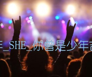 《你曾是少年吉他谱》_群星_SHE_《你曾是少年吉他谱》_群星吉他弹唱谱_吉他图片谱4张